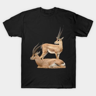 Grant´s Gazelle - Antelope - Kenya / Africa T-Shirt